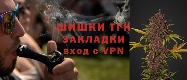 индика Иннополис