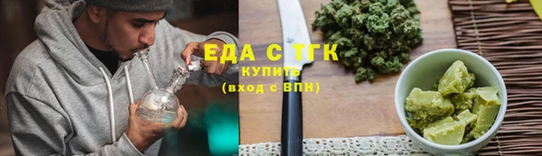 индика Каменка