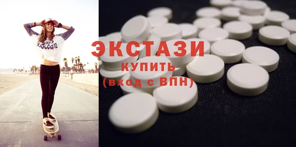 индика Каменка