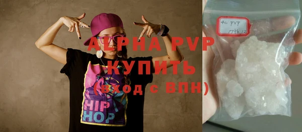 индика Каменка