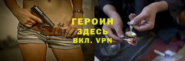индика Каменка