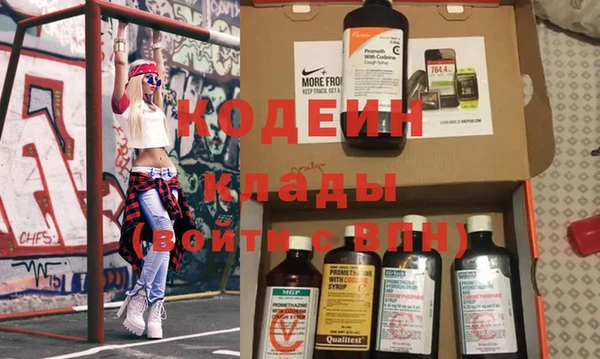 индика Иннополис