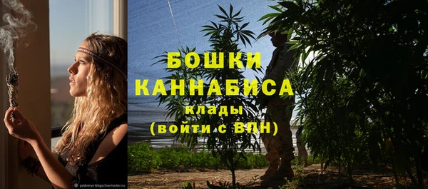 амф Инта