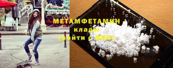 индика Каменка