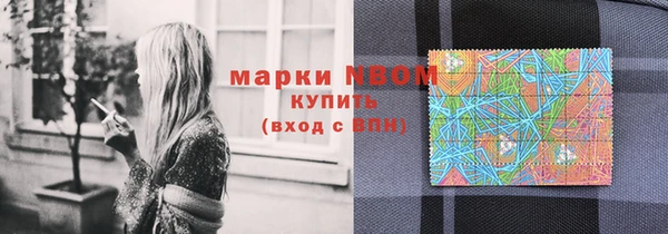 индика Иннополис