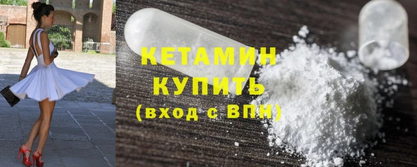 индика Каменка