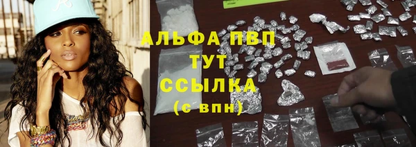 индика Каменка