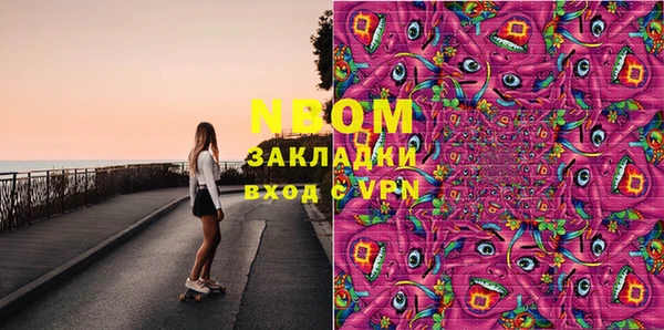 индика Каменка