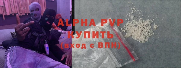 индика Каменка