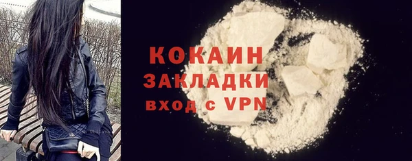 индика Иннополис