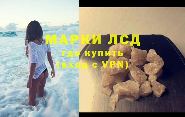 индика Каменка
