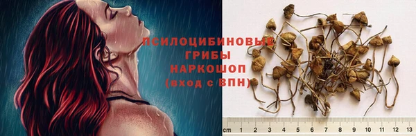 метадон Каменск-Шахтинский